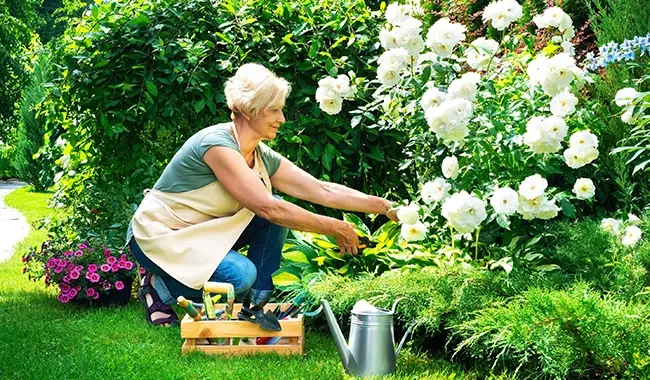 older woman gardening