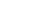 outline of the state of South Carolina
