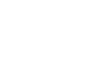 map outline of the state of South Carolina