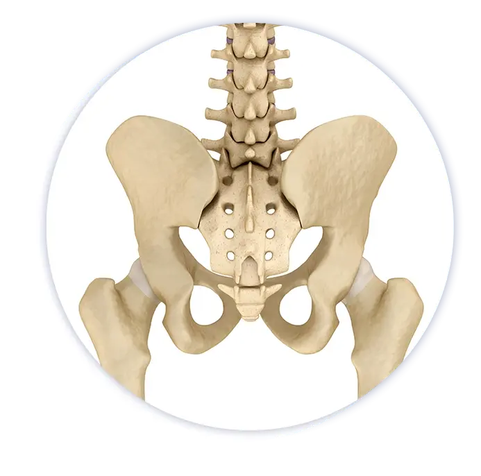 pelvic floor physical therapy